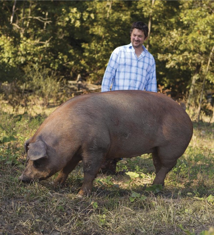 Pork