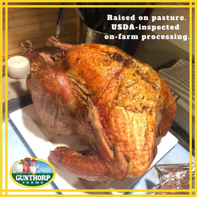 Thanksgiving Turkeys