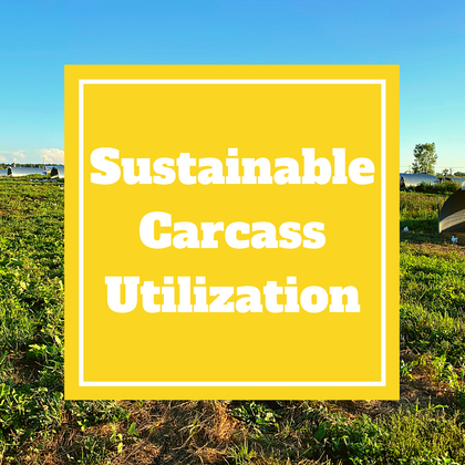Sustainable Carcass Utilization